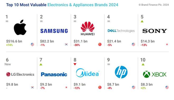 牌国际排位揭晓！大疆第45传音第36PP电子平台2024中国电子家电品(图2)