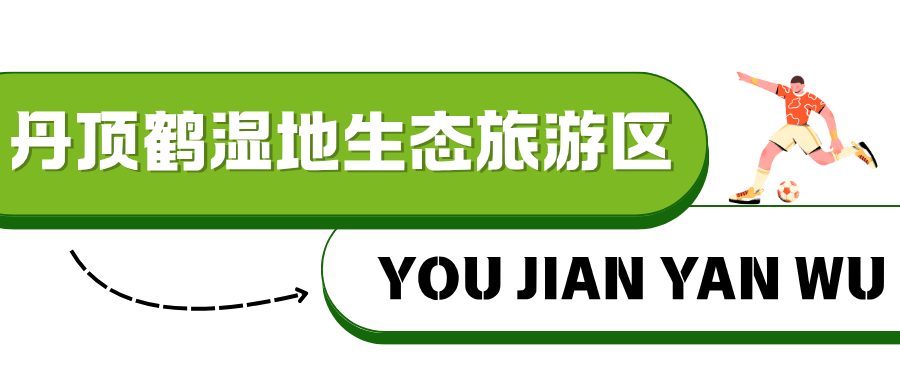 ！淮安西游乐园等景区免费玩PP电子平台“鹿马大战”(图13)